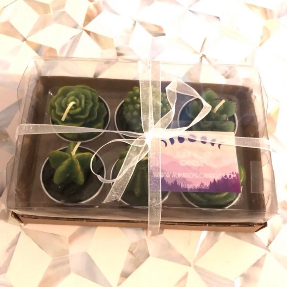 🌱NWT Succulent Candles🌱 - Picture 5 of 5